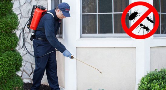 Senirkent Kene İlaçlama böcek ilaçlama ve haşere kontrolü — ilaclama-tr.com